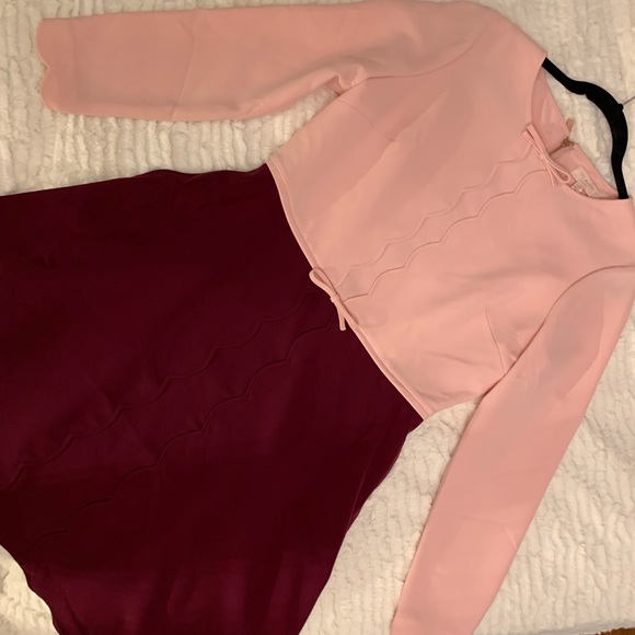 Ted Baker London Dresses & Skirts - Ted Baker pink two tone dress